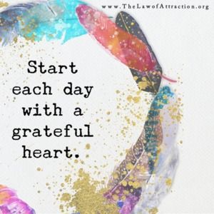 Meet your Posher, Jj!